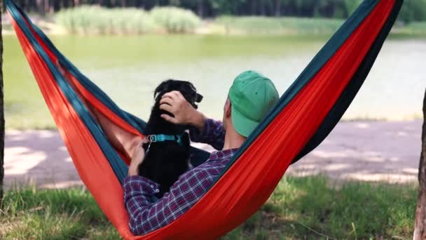 Suave Balanceo Hamaca Bosque Verano Transporta Hombre Perro Estado Tranquilidad — Vídeos de Stock