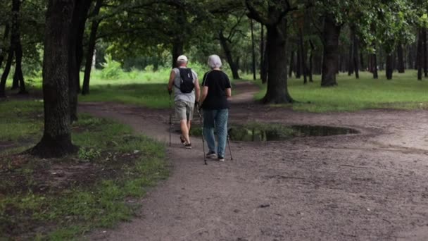 Para Seniorów Kijami Trekkingowymi Spacerująca Lesie Ćwiczę Skandynawski Spacer Świeżym — Wideo stockowe