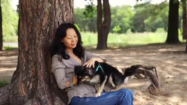 Amare Pet Proprietario Accarezzare Abbracciare Cane Felice Nella Foresta Estiva — Video Stock