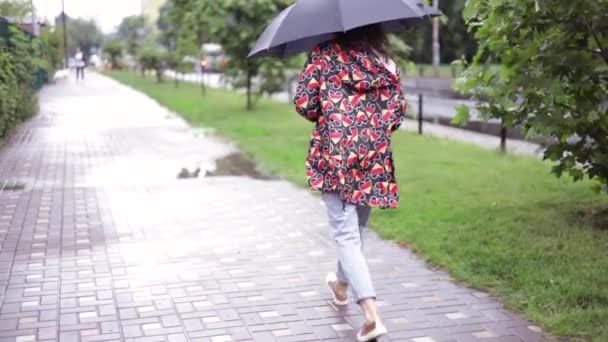 비오는 거리를 우산을 여자의 뒤보기 — 비디오