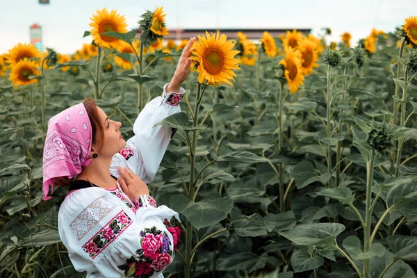 Українська Красива Дівчина Національній Сукні Насолоджується Природою Полі Соняшників Заході — стокове фото