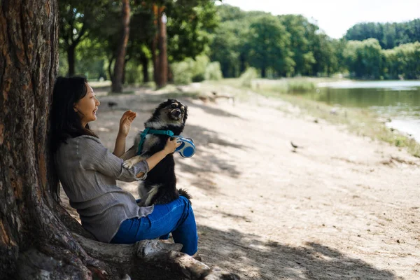 Ormanda köpek gezdiren Asyalı genç bir kadın. Parkta bir kız köpekle yürüyor..