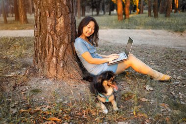 Güzel Asyalı kadın gün batımında köpekli dizüstü bilgisayar kullanıyor..