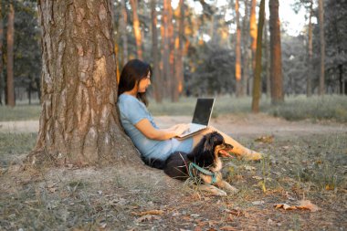 Güzel Asyalı kadın gün batımında köpekli dizüstü bilgisayar kullanıyor..