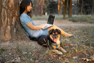 Güzel Asyalı kadın gün batımında köpekli dizüstü bilgisayar kullanıyor..