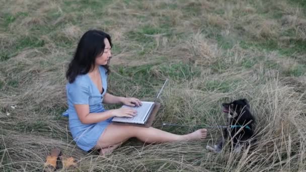 Corte Pequeno Cão Que Coloca Grama Enquanto Menina Asiática Trabalhando — Vídeo de Stock