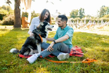 Güneşli bir günde parkta köpekli genç bir çift. Aşk konsepti