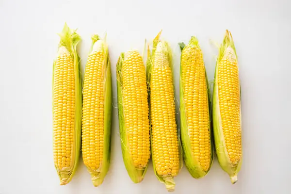 Свежая Кукуруза Початках Изолированы Белом Фоне Здоровый Стиль Питания — стоковое фото