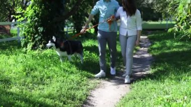Yaz parkında evcil bir köpekle yürüyen çift..