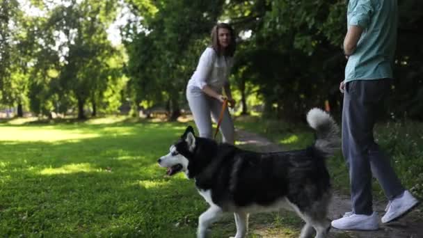 Ζευγάρι Περπάτημα Οικόσιτο Σκυλί Συντροφιάς Στο Πάρκο Καλοκαίρι — Αρχείο Βίντεο