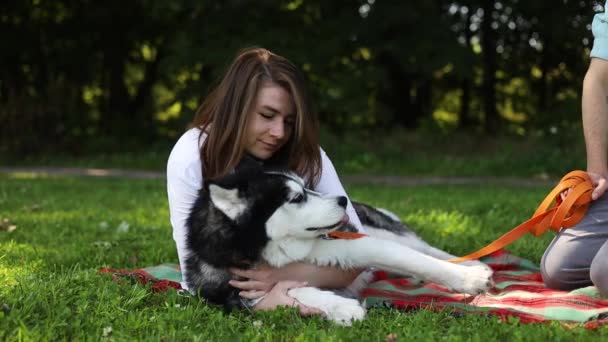 Joven Pareja Feliz Con Perro Husky Siberiano Parque Verano — Vídeos de Stock