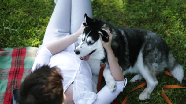 Молода Щаслива Пара Сестринським Хаскі Собакою Літньому Парку — стокове відео