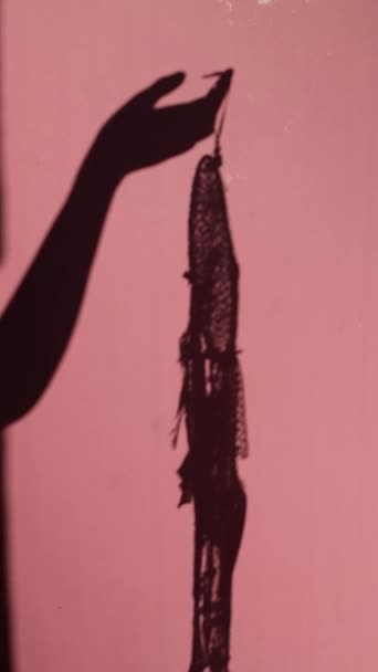 Ein Traumfänger Schatten Auf Rosa Wand Traumfänger Frauenhand Silhouette Auf — Stockvideo