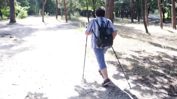 Ηλικιωμένη Γυναίκα Τους Πασσάλους Πεζοπορίας Που Περπατάει Στο Δάσος Εξάσκηση — Αρχείο Βίντεο