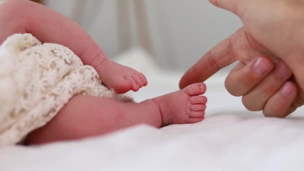 Primer Plano Los Pies Del Bebé Recién Nacido Mientras Duerme — Vídeos de Stock