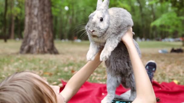 Ragazzo Con Mano Bel Coniglietto Peloso Amicizia Con Coniglietto Pasquale — Video Stock
