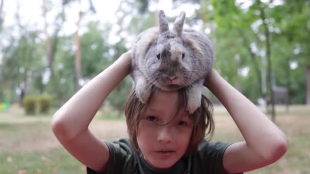 Хлопчик Тримає Милого Пухнастого Кролика Дружба Пасхальним Зайцем Щасливий Хлопчик — стокове відео