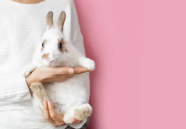 亚洲女人戴着兔子耳朵 带着粉红背景的白兔 — 图库照片