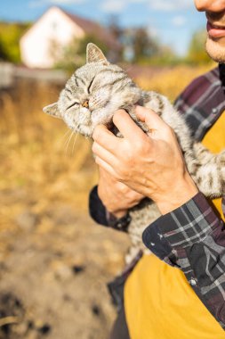 Sevecen genç erkek çiftçi kırsalda kedi besliyor.