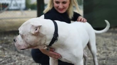 Parkta Amerikan Staffordshire Teriyeri eğiten bir kadın.. 