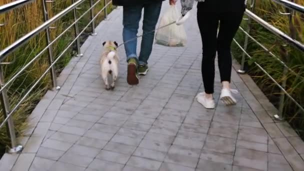 那对夫妇在城市遛狗 慢动作的倒影 在城市街道上和狗一起散步的人 — 图库视频影像