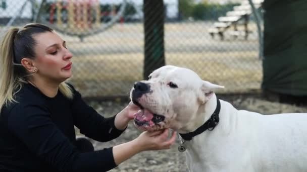 Mulher Treinando American Staffordshire Terrier Parque — Vídeo de Stock