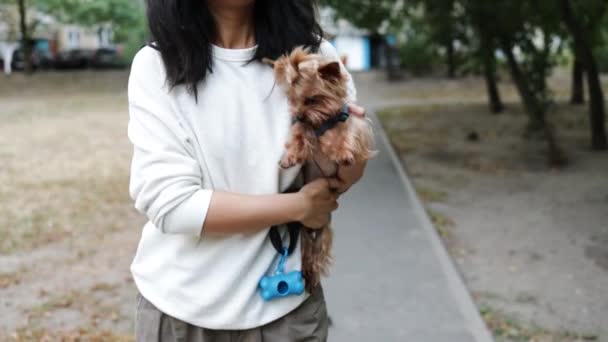 Flicka Promenad Med Liten Hund Som Håller Honom Händerna Husdjur — Stockvideo