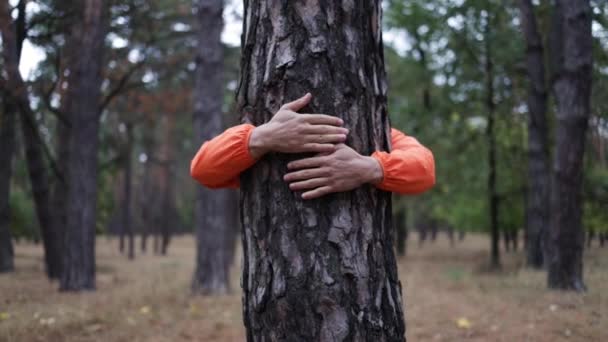 Młody Mężczyzna Przytula Się Wokół Drzewa Pokazując Swoją Miłość Natury — Wideo stockowe