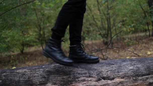 Legs Traveler Walk Log Dark Forest Balance Healthy Lifestyle Walk — Stock Video