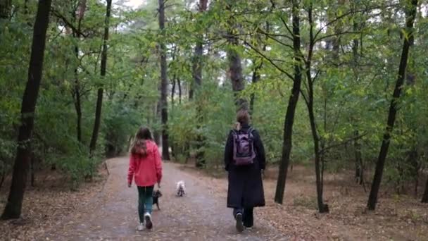 Вид Ззаду Сім Гуляє Собаками Осінньому Парку — стокове відео
