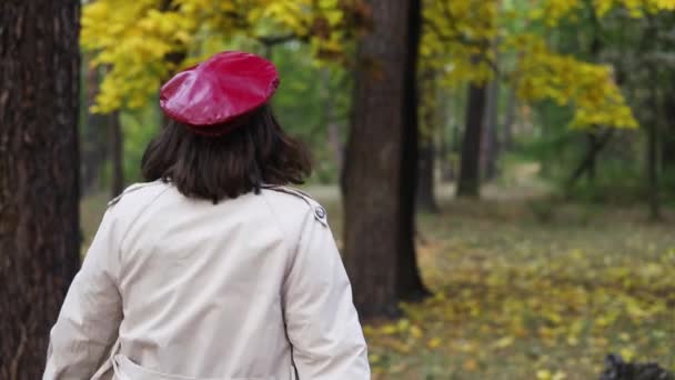 Jolie Jeune Femme Marchant Dans Parc Retourne Avec Des Cheveux — Video