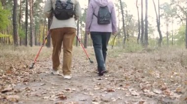 Ormanda yürüyüş direkleri olan yaşlı kadınların arka görüntüsü. Dışarıda İskandinav yürüyüşü pratiği yapıyorum..