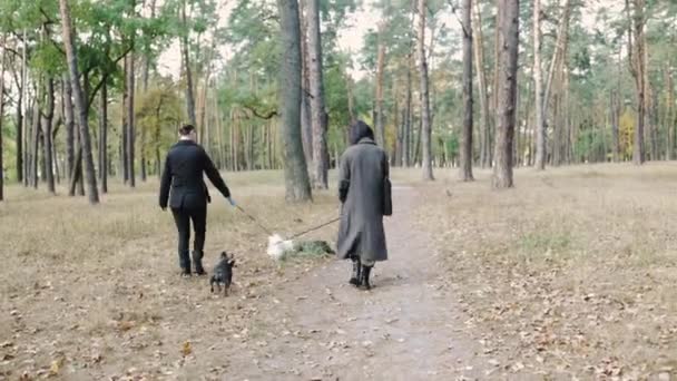 Rückansicht Von Menschen Die Mit Hunden Herbstpark Spazieren Gehen — Stockvideo