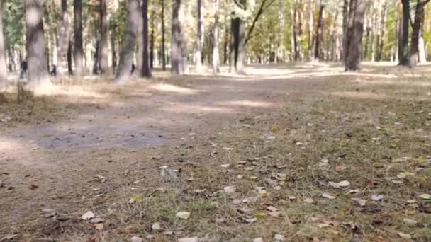 Jovem Está Dirigindo Uma Bicicleta Pela Floresta Outono Lama — Vídeo de Stock