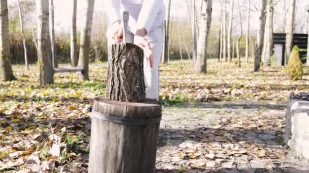 Homme Coupe Bois Avec Une Hache Dans Forêt Automne — Video