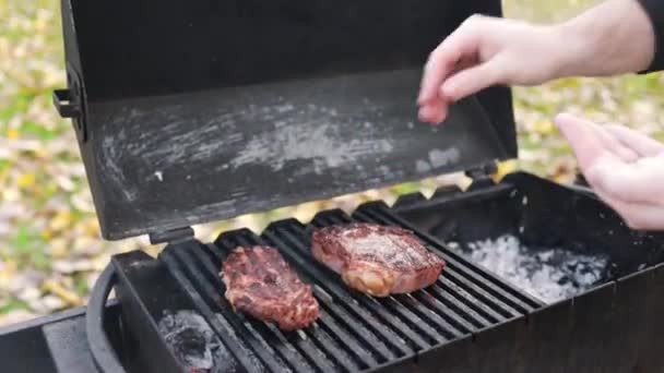 Barbekü Izgarası Dışarıda Kızgın Demir Izgarada Büyük Sulu Parçaları Pişiriyor — Stok video