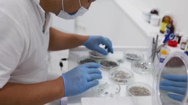 Endodontist bir doktor endodontik aletleri steril bir kutuya koyar. Steril bir kutuya yerleştirilmiş el aletleri. Endodontist bir doktor doğrulayıcıyla çalışıyor. Onun alanında profesyoneldi..