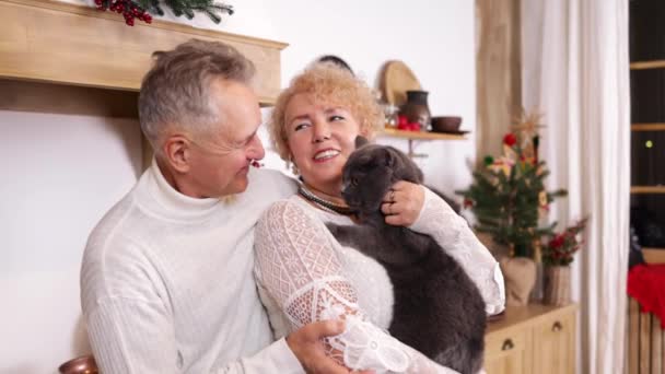 Ζευγάρι Ηλικιωμένων Χαϊδεύει Μια Γάτα Σαν Κατοικίδιο Για Συντροφιά Και — Αρχείο Βίντεο