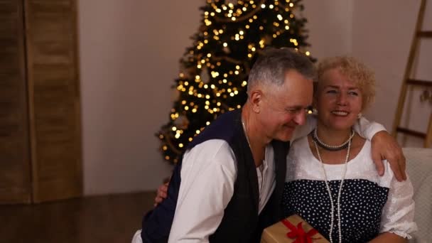 Portrait Caucasian Man Woman Exchanging Traditional Gift Boxes Christmas Tree — Stock Video