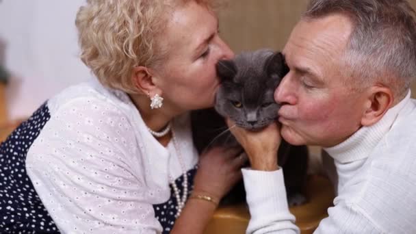 Щаслива Старша Пара Кішкою Сидить Дивані Вдома — стокове відео