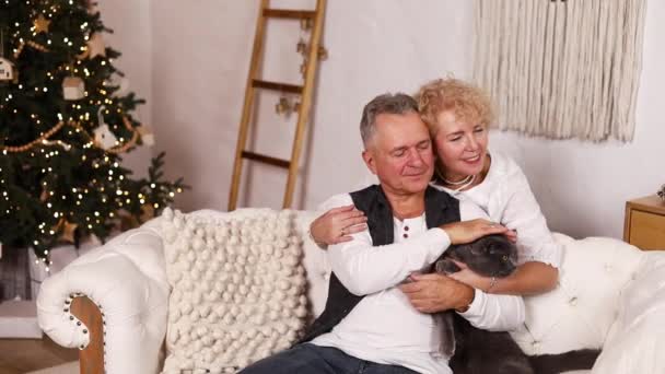 Счастливая Пожилая Пара Отдыхает Диване Празднуя Рождество Дома Пожилые Муж — стоковое видео