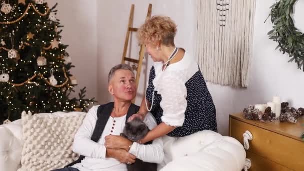 ハッピーシニアカップルは 自宅でクリスマスを祝うソファーでリラックスします 高齢の夫と妻はソファーに座り クリスマスの装飾されたリビングルームで話します リアルタイム — ストック動画