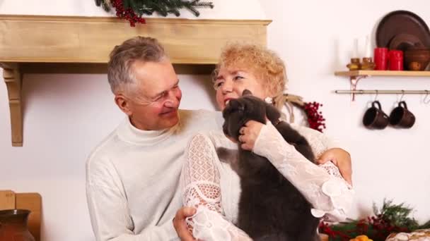 Casal Sênior Acariciando Brincar Com Gato Doméstico Sala Estar Família — Vídeo de Stock