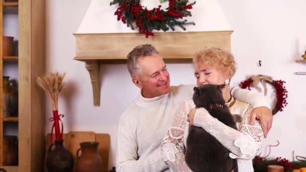 Пожилая Пара Гладит Играет Домашней Кошкой Гостиной Счастливая Семья Привлекательный — стоковое видео