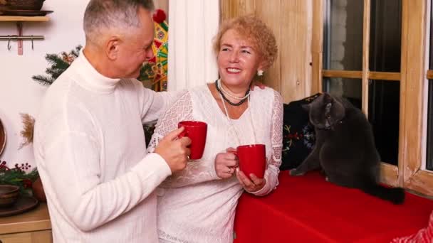健康的老年人生活方式 老两口在厨房喝茶 — 图库视频影像