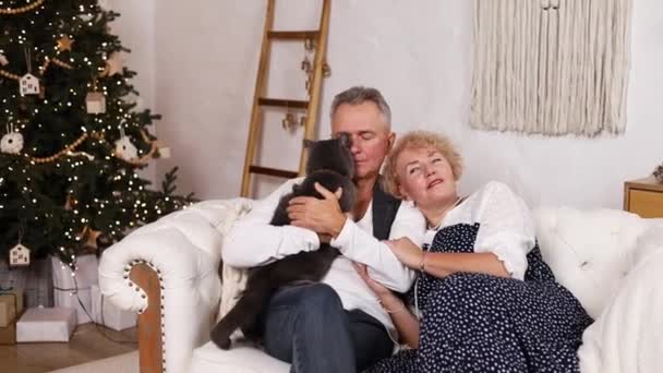 Ευτυχισμένο Ζευγάρι Ηλικιωμένων Χαλαρώστε Στον Καναπέ Γιορτάζοντας Χριστούγεννα Στο Σπίτι — Αρχείο Βίντεο