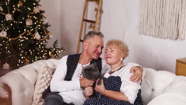一对快乐的老夫妇在沙发上休息 在家里庆祝圣诞节 年事已高的夫妻坐在沙发上 在装饰过圣诞的客厅里聊天 — 图库视频影像