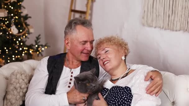 Ευτυχισμένο Ζευγάρι Ηλικιωμένων Χαλαρώστε Στον Καναπέ Γιορτάζοντας Χριστούγεννα Στο Σπίτι — Αρχείο Βίντεο