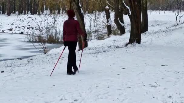 Cardio Aktivitet Sport Rörelse Rekreation Trekking Med Pole Stick Nordic — Stockvideo