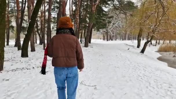 Femme Marchant Dans Neige Vêtements Hiver Fille Sur Route Enneigée — Video